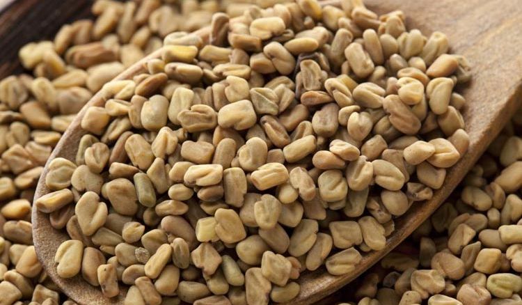 Use of fenugreek seeds to reduce weight