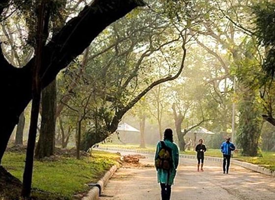 Dead trees to be chopped down in Rabindra Sarobar