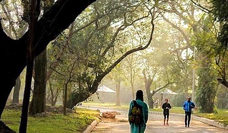 Dead trees to be chopped down in Rabindra Sarobar