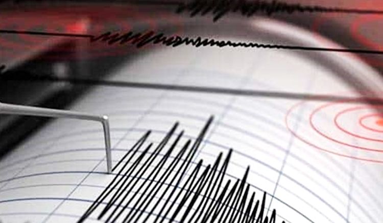 Low intensity earthquake hits Bankura