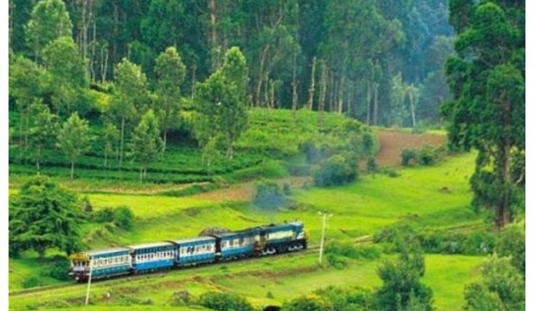 Every type of plastic will be banned in ooty