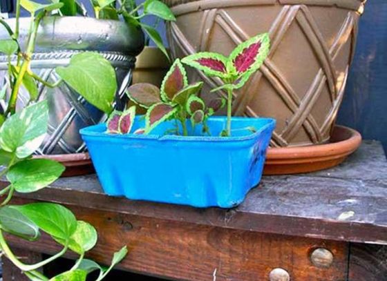 DIY Planter from Recycled Containers