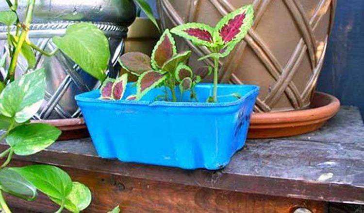 DIY Planter from Recycled Containers