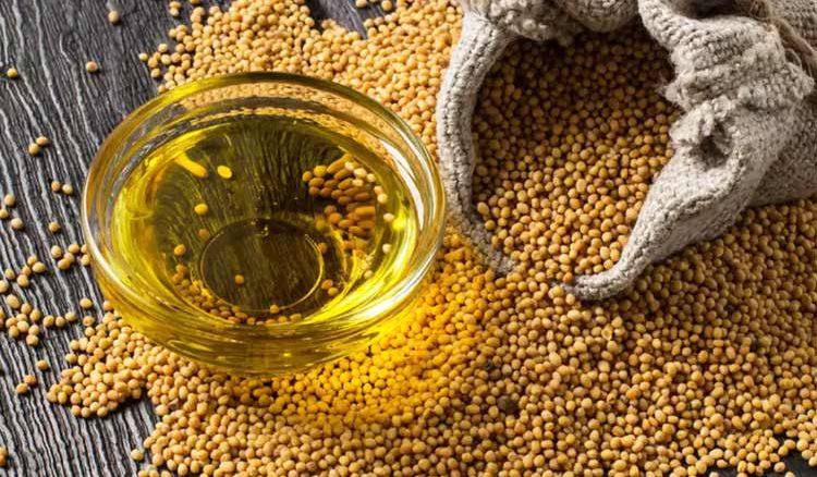The Healing Touch of Mustard Oil