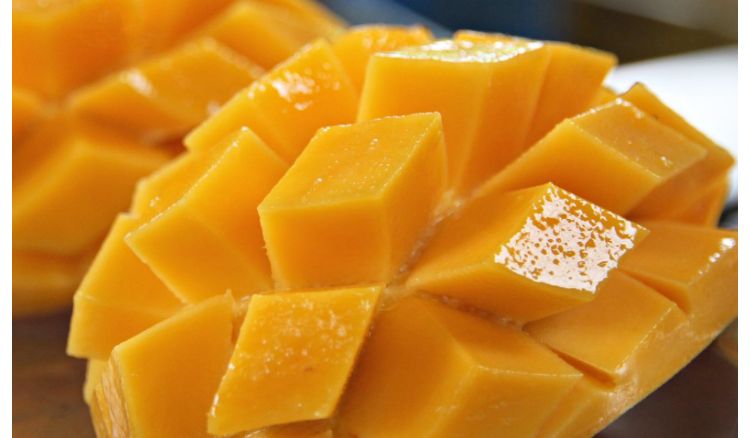 Usefulness of mango seed