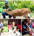 প্রকৃতিপ্রেমী মনোজের ১২ বছরের অক্লান্ত পরিশ্রম বদলে দিয়েছে মানুষের ভাবনা