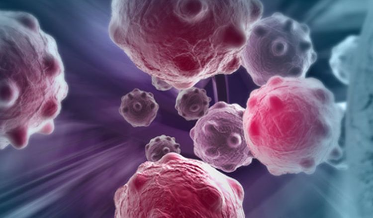 Kolkata scholar discovers bacteria to fight cancer