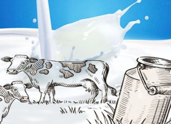 Mother Dairy’s milk fortification project