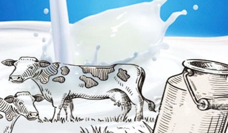 Mother Dairy’s milk fortification project