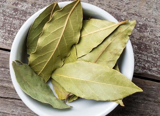 Health benefits of Bay Leaves