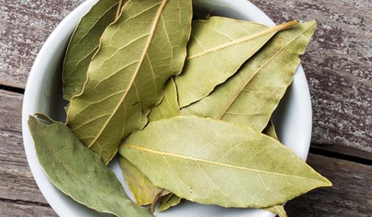 Health benefits of Bay Leaves