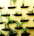 Conserve Nature Mohanta’s Way
