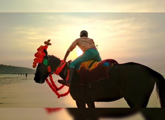 Horse riding to be banned on Digha beach