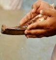 আসছে বছর জোড়া মহালয়া?