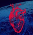 How is the Heart affected in Space?