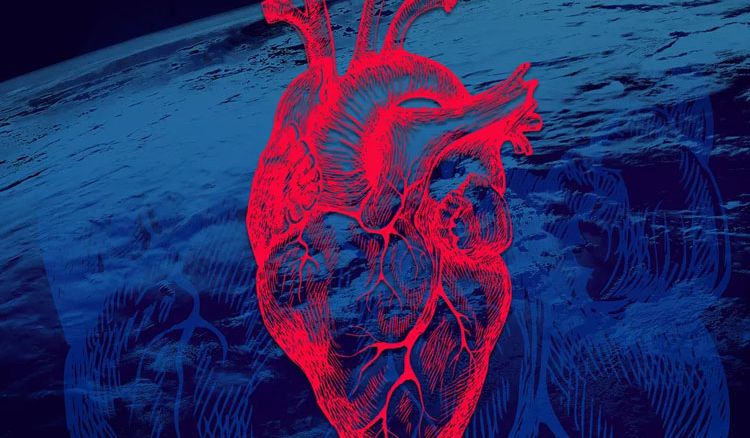 How is the Heart affected in Space?