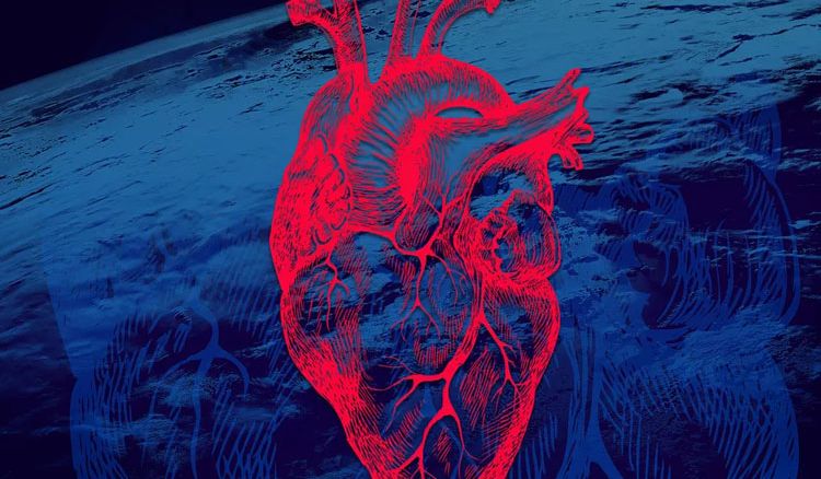 How is the Heart affected in Space?