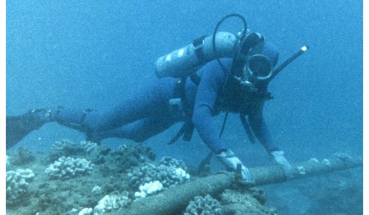 An underwater cable will help scientists to identify an earthquake very early
