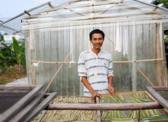 Straws made from wild grass to the rescue!