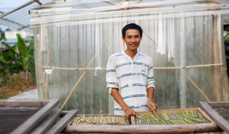 Straws made from wild grass to the rescue!