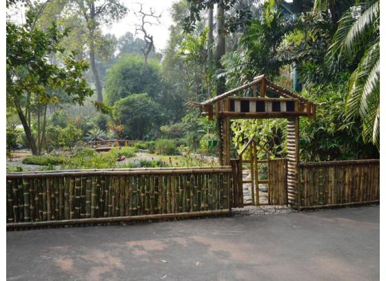 অজানা গাছেদের ইতিহাস নিয়ে আসছে আলিপুর হর্টিকালচার