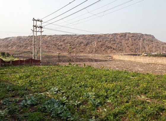 KMC to empty Dhapa landfill site