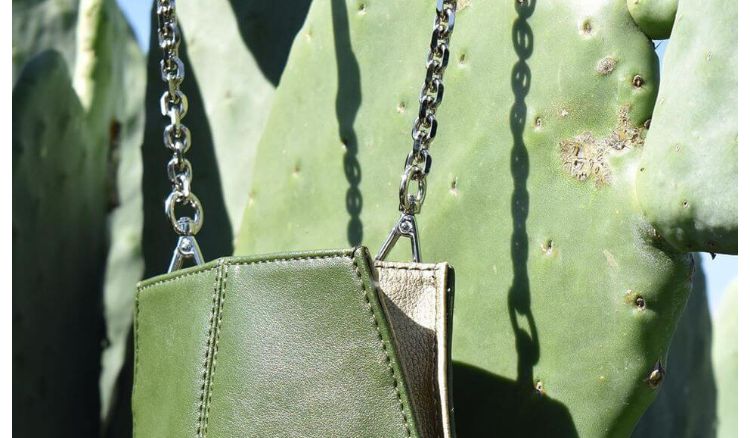 Two  entrepreneurs Create 'Leather' From Cactus,
