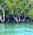 সুন্দরবনের বসতির গল্প