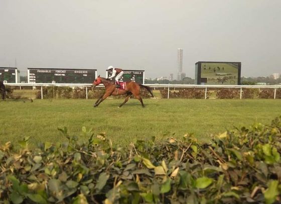 খুরের ধ্বনি: কলকাতা রেসকোর্সের কাহিনী