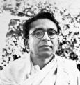 রাজনীতি সচেতন ঔপন্যাসিকদের অন্যতম সতীনাথ ভাদুড়ী