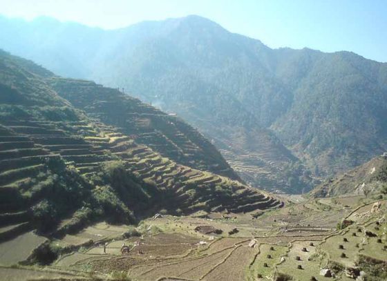 বিরহী শিবের তপভূমি বিরোহী