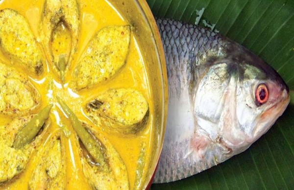 The One True Love of the Fish-Crazy Bengalis