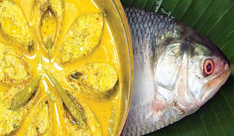 The One True Love of the Fish-Crazy Bengalis
