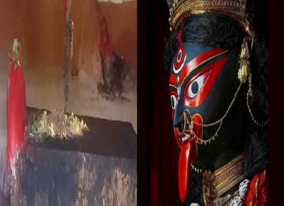 Unveiling A Unique Celebration Of Goddess Kali Of South Dinajpur
