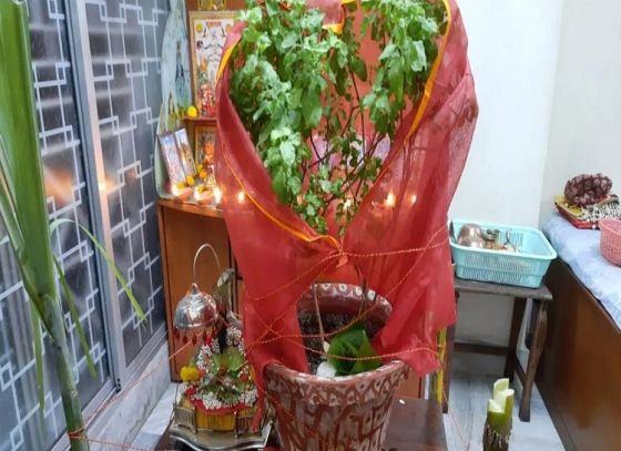 Unveiling the Sacred Moments of Tulsi Vivah This Year