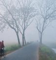 Winter's Arrival: Bengal Braces For A Chilly Weather Shift And Scattered Rainfall