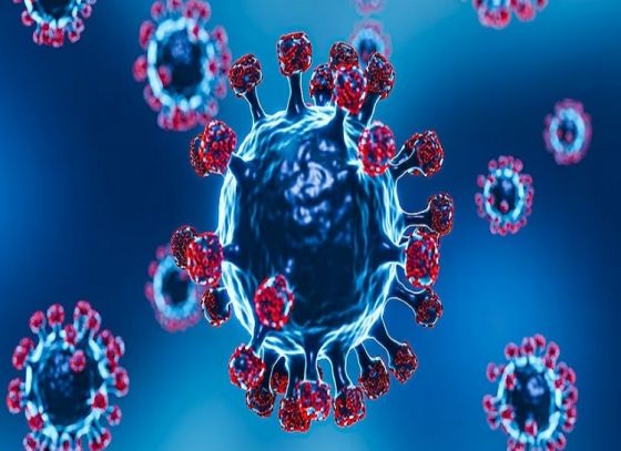 India Reports First Case of JN.1 COVID Variant – What You Need to Know