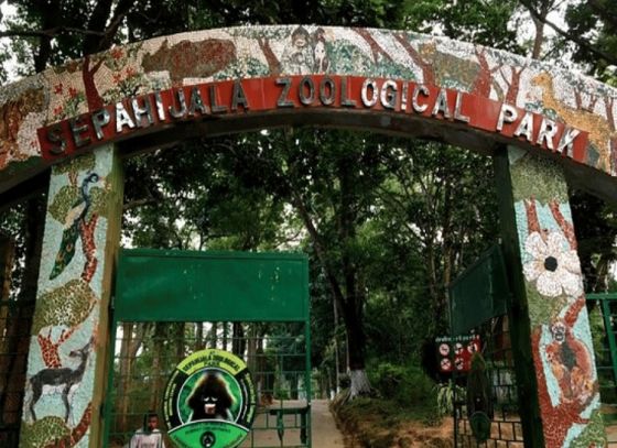 Sepahijala Zoo's New Year Exchange Brings Royal Bengal Tigers, Leopards, and Birds Species!