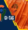 Bengal's Three Sarees Gets GI Tag! Know In Detail