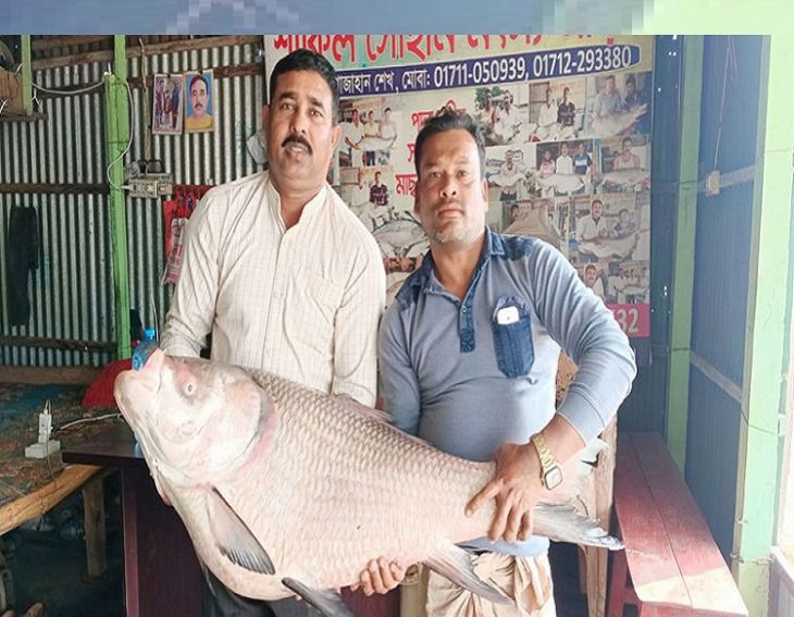 Giant Katla Fish Caught In Padma River, Got Sold For Record Price! Know In Detail