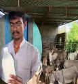 Dhiren Solanki Made Millions Selling Donkey Milk In Gujarat! Know How
