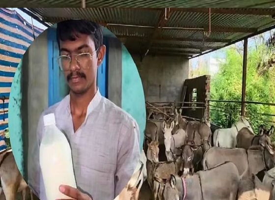 Dhiren Solanki Made Millions Selling Donkey Milk In Gujarat! Know How