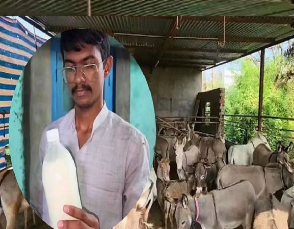 Dhiren Solanki Made Millions Selling Donkey Milk In Gujarat! Know How