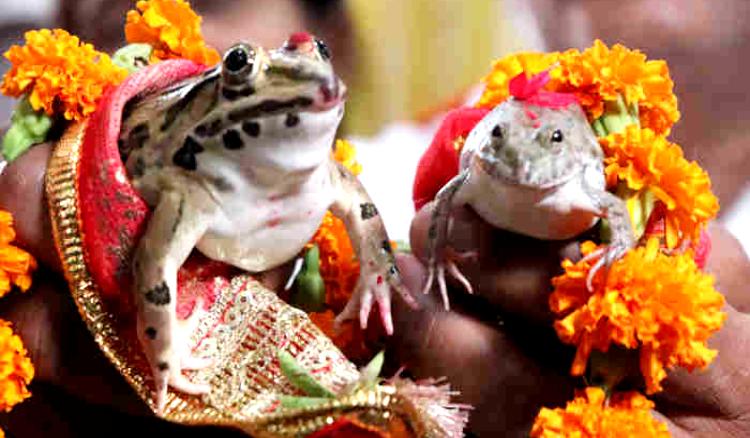 Rituals of Bengal that celebrates to bring rain