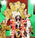 কালী কথা: নীলকন্ঠেশ্বরী কালী মন্দির