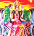 বর্ষাকালে অষ্টনাগ আরাধনায় তুষ্ট হন মা মনসা