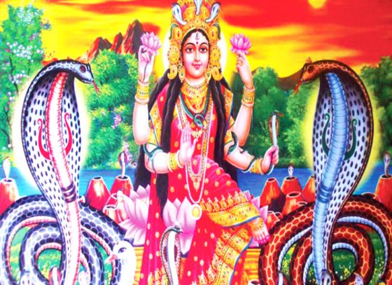 বর্ষাকালে অষ্টনাগ আরাধনায় তুষ্ট হন মা মনসা