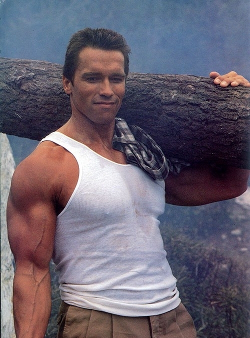 arnold2