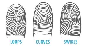 fingerprint