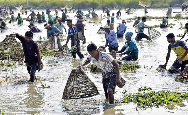bihu-5